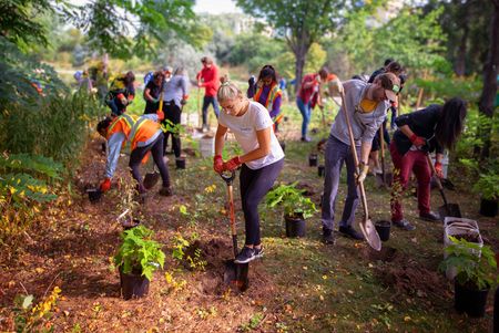 Staff and students from Humber College planting trees to build a natural habitat for wildlife and improve water quality in Humber Pond.